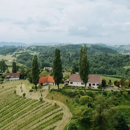 Holiday home Ferienhaus Livia Ratsch an der Weinstrasse